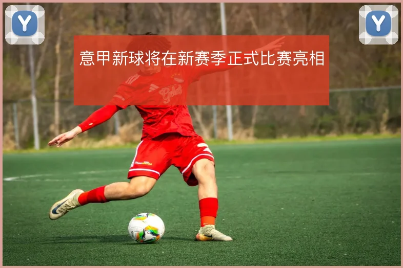 意甲新球将在新赛季正式比赛亮相