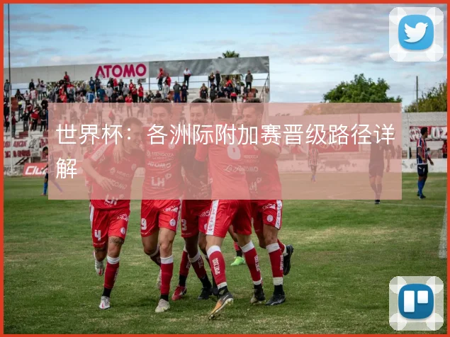 世界杯：各洲际附加赛晋级路径详解