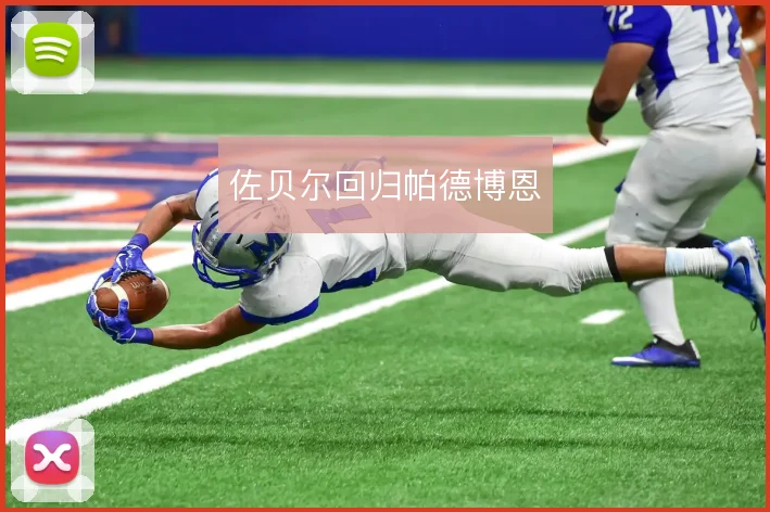 佐贝尔回归帕德博恩