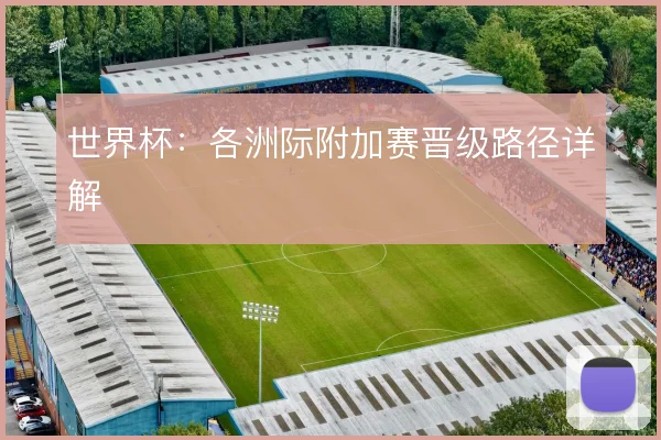 世界杯:各洲际附加赛晋级路径详解